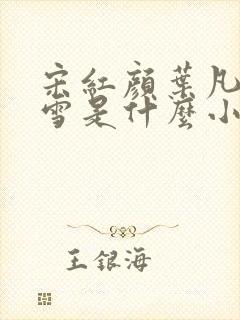 宋红颜叶凡唐若雪是什么小说