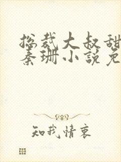 总裁大叔甜宠妻秦珊小说免费阅读