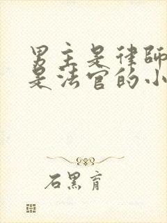 男主是律师女主是法官的小说