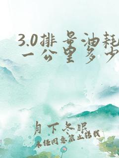 3.0排量油耗一公里多少钱