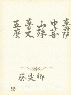 五台山中台是什么文殊菩萨
