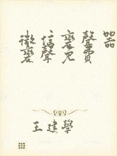 微信变声器实时变声免费