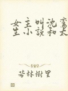 女主叫沈鸾的重生小说和太子