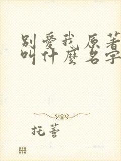 别爱我原著小说叫什么名字