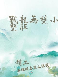 战龙无双小说完整版