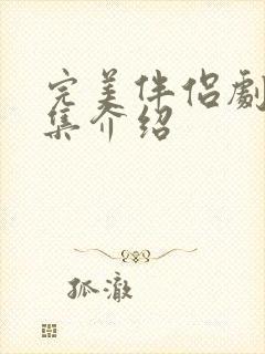 完美伴侣剧情分集介绍