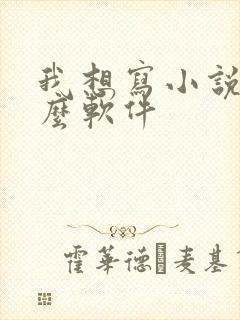 我想写小说用什么软件