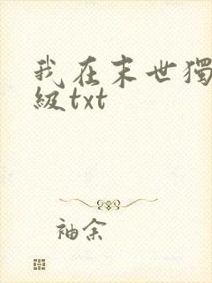 我在末世独自升级txt