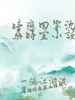 暗恋回响沈宴忱桑时宜小说全文免费