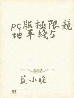 pc版极限竞速地平线5