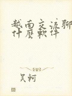 越南交流聊天用什么软件