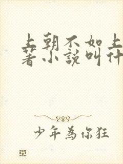 上朝不如上班原著小说叫什么名字