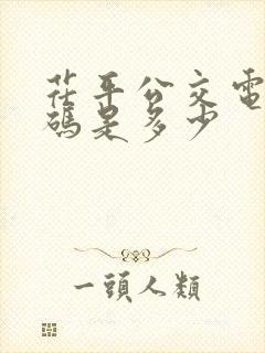 茌平公交电话号码是多少
