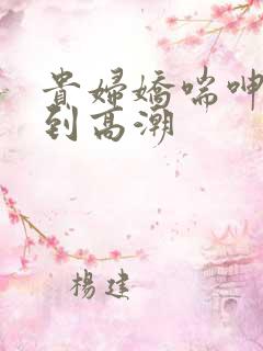 贵妇娇喘呻吟爽到高潮