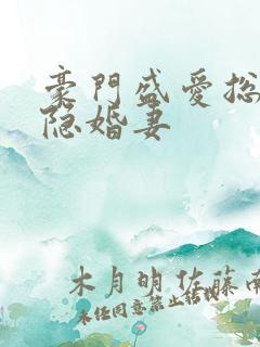 豪门盛爱总裁的隐婚妻