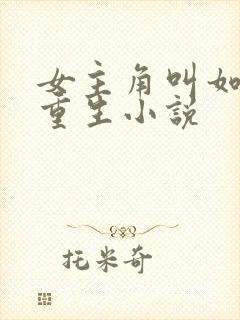 女主角叫如意的重生小说