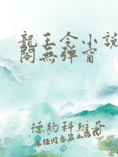 龙王令小说笔趣阁无弹窗