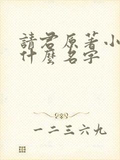 请君原著小说叫什么名字