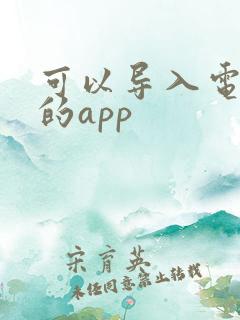 可以导入电子书的app