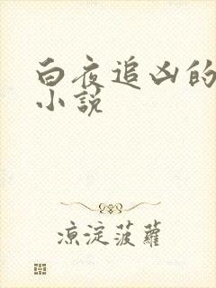 白夜追凶的原著小说