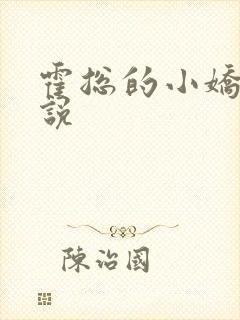 霍总的小娇妻小说