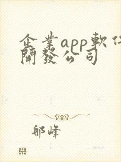 企业app软件开发公司