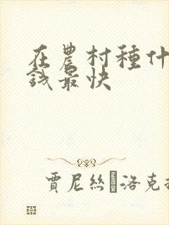 在农村种什么赚钱最快