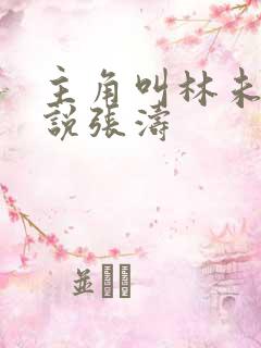 主角叫林未的小说张涛