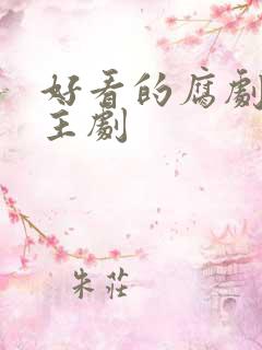 好看的腐剧双男主剧