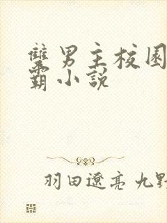 双男主校园双学霸小说