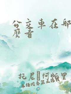 公交车在哪里怎么看