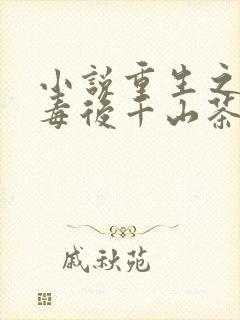 小说重生之将门毒后千山茶客电子书下载