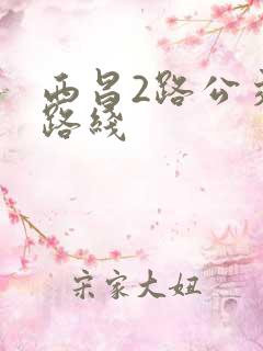 西昌2路公交车路线