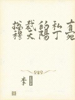 总裁的私有宝贝穆天阳丁宛情全本免费阅读