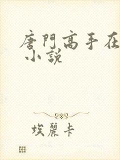 唐门高手在异世 小说