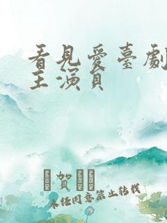 看见爱台剧双男主演员