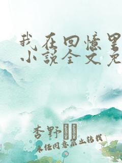 我在回忆里等你小说全文免费阅读