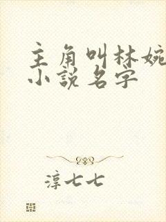 主角叫林婉秋的小说名字