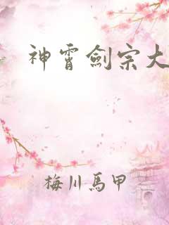 神霄剑宗大师兄