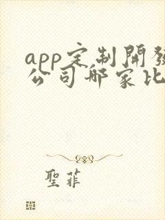 app定制开发公司哪家比较好