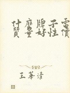 什么牌子电瓶车质量好性价比高