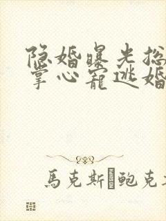 隐婚曝光总裁的掌心宠逃婚了贺聿舟大结局