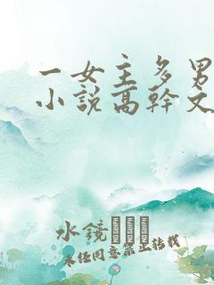 一女主多男主的小说高干文
