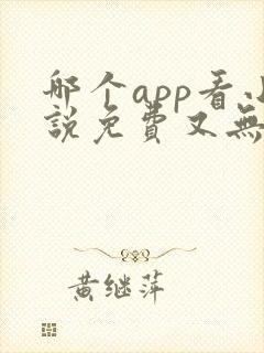 哪个app看小说免费又无广告