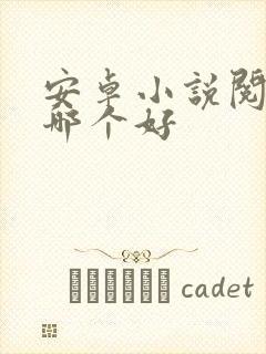 安卓小说阅读器哪个好