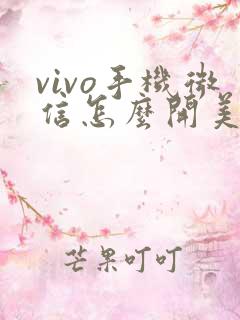 vivo手机微信怎么开美颜视频通话