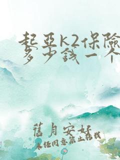 起亚k2保险杠多少钱一个