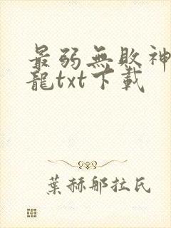 最弱无败神装机龙txt下载