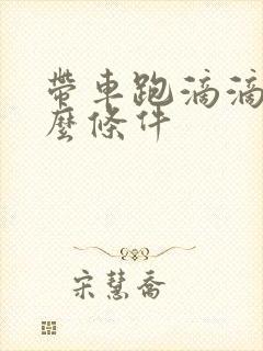 带车跑滴滴要什么条件