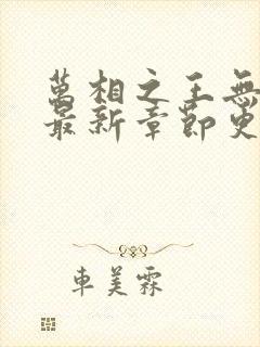 万相之王无弹窗最新章节更新